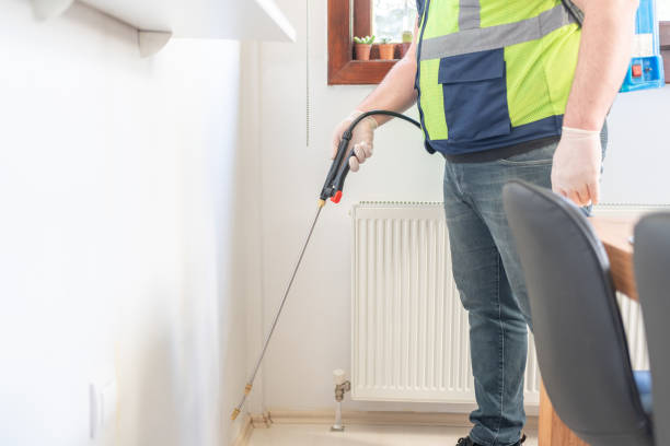 Trusted Hydesville, CA Pest Control Experts