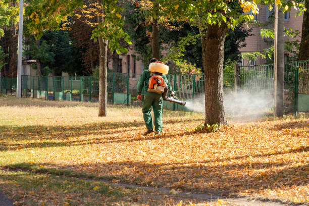 Best Insect Control  in Hydesville, CA