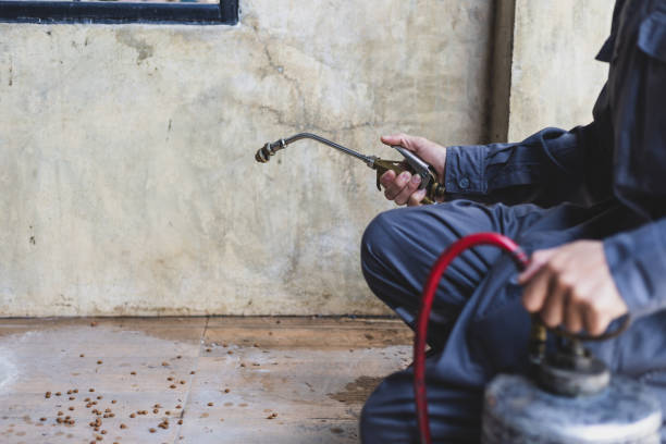 Best Pest Inspection Near Me  in Hydesville, CA